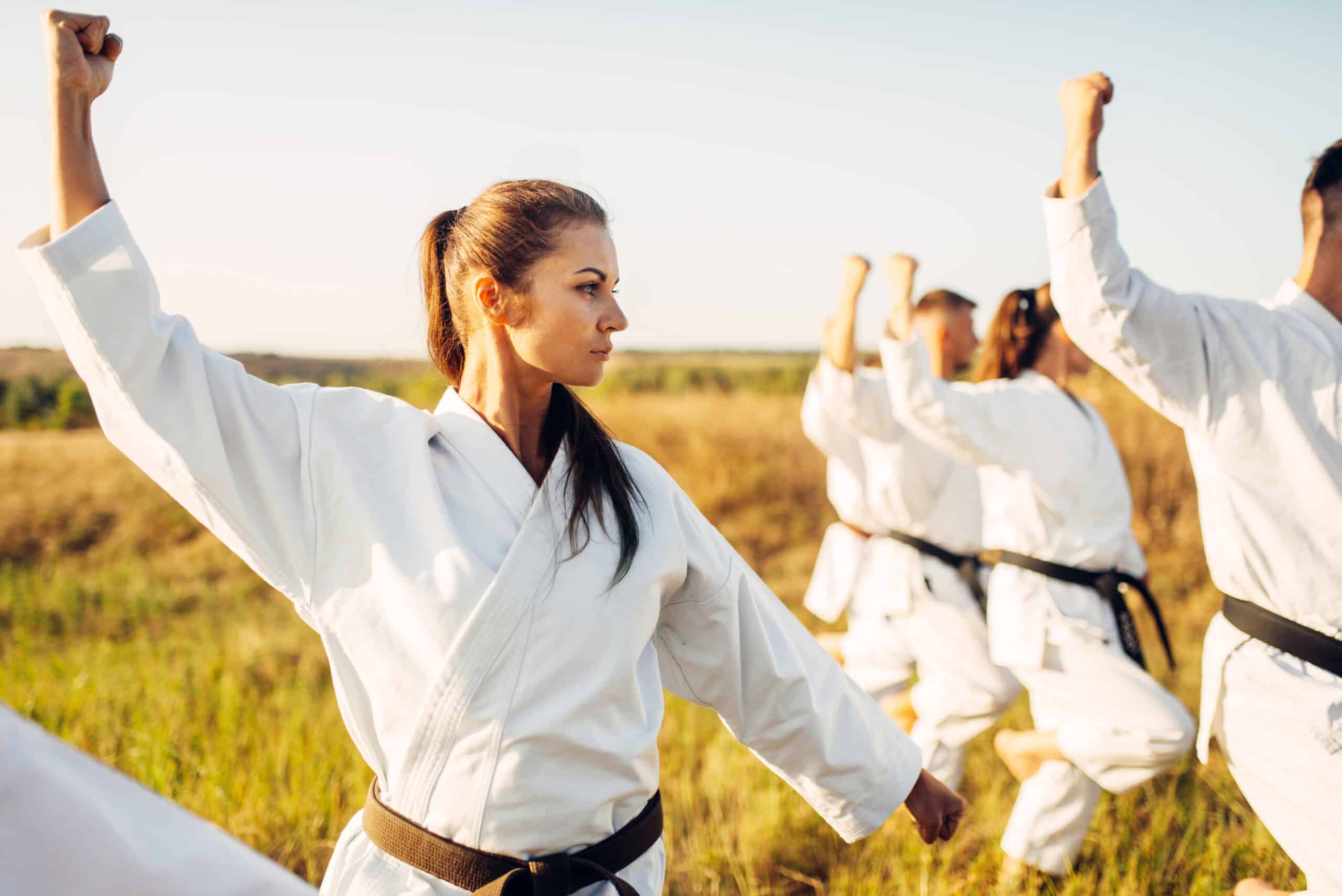 Fédération Québécoise de Taekwondo