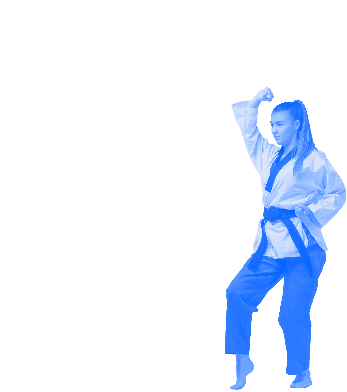 Fédération Québécoise de Taekwondo
