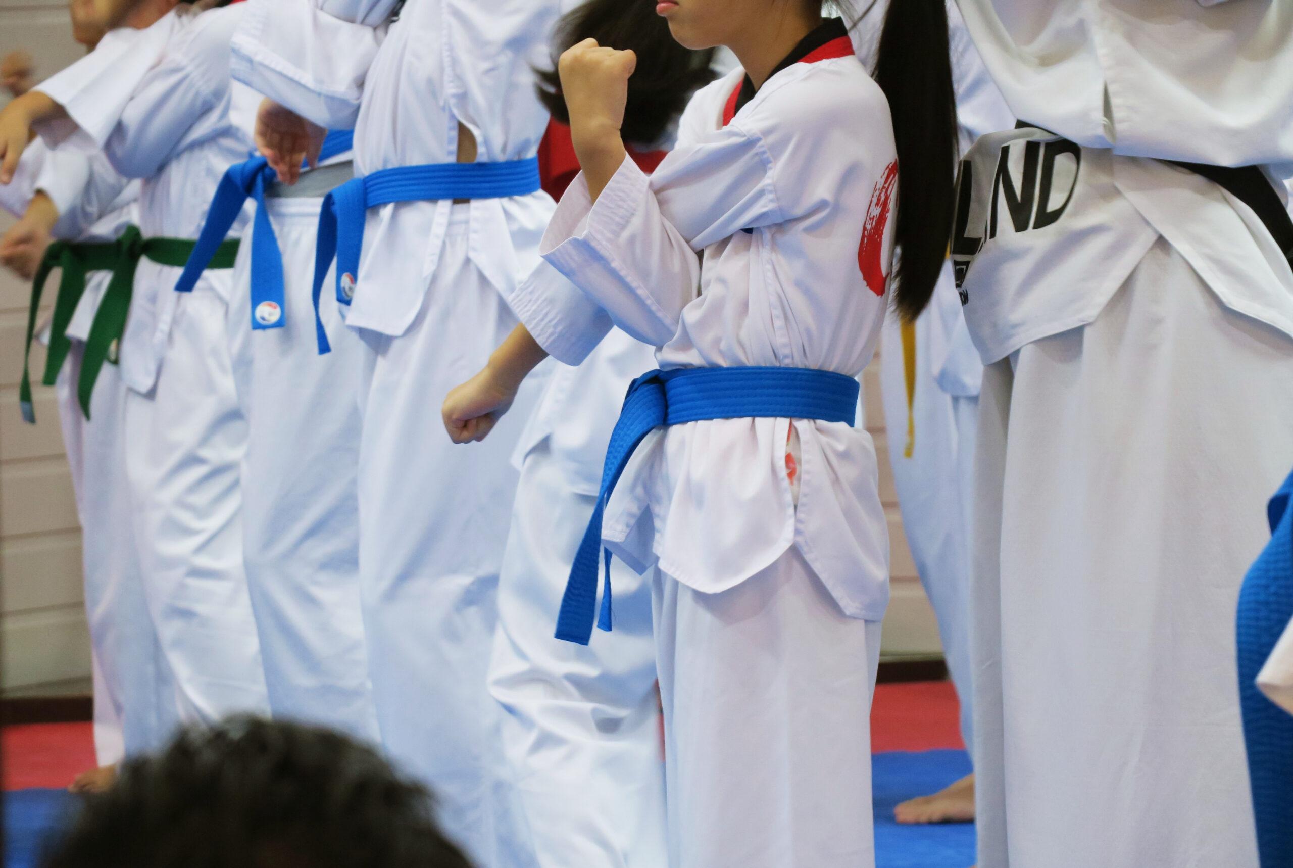 Fédération Québécoise de Taekwondo