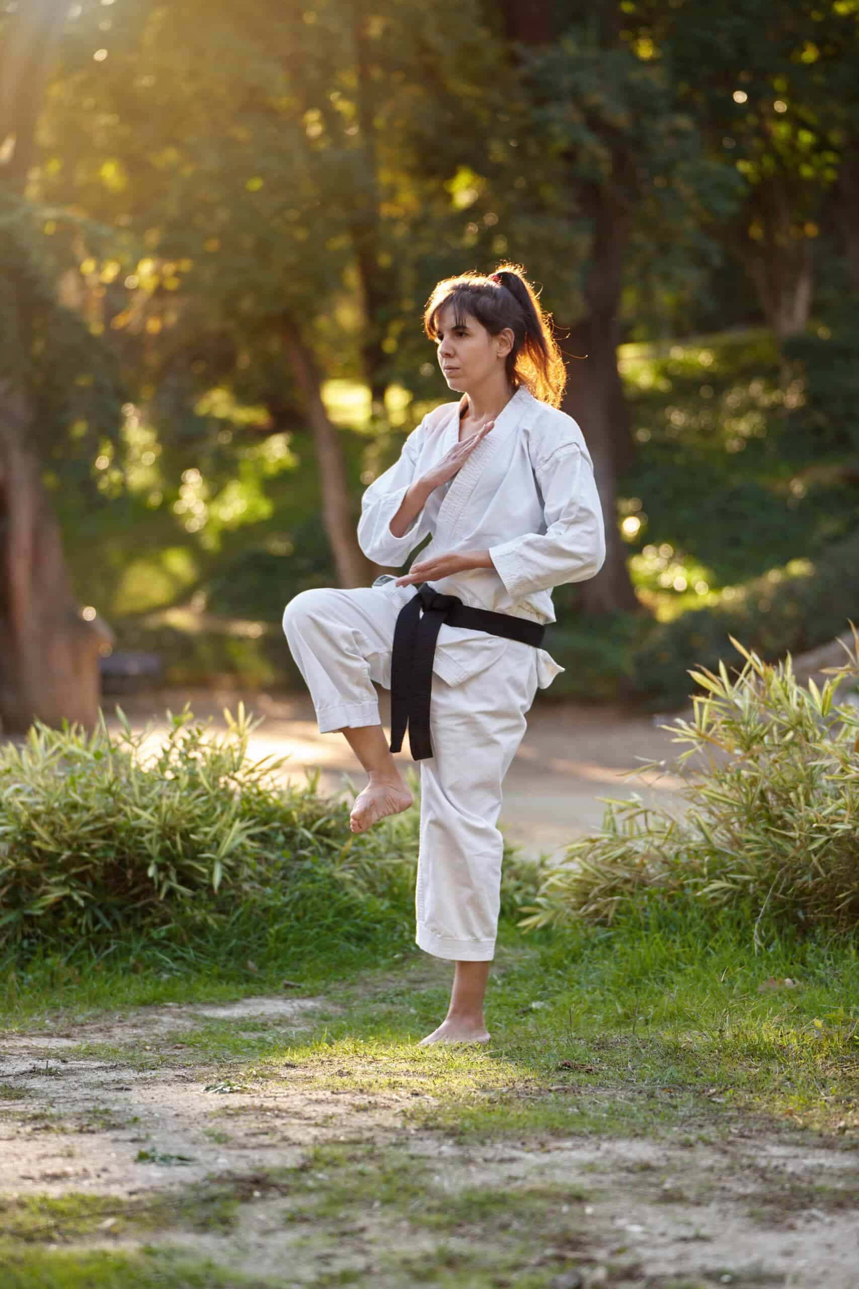Fédération Québécoise de Taekwondo